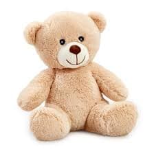 bear - 2